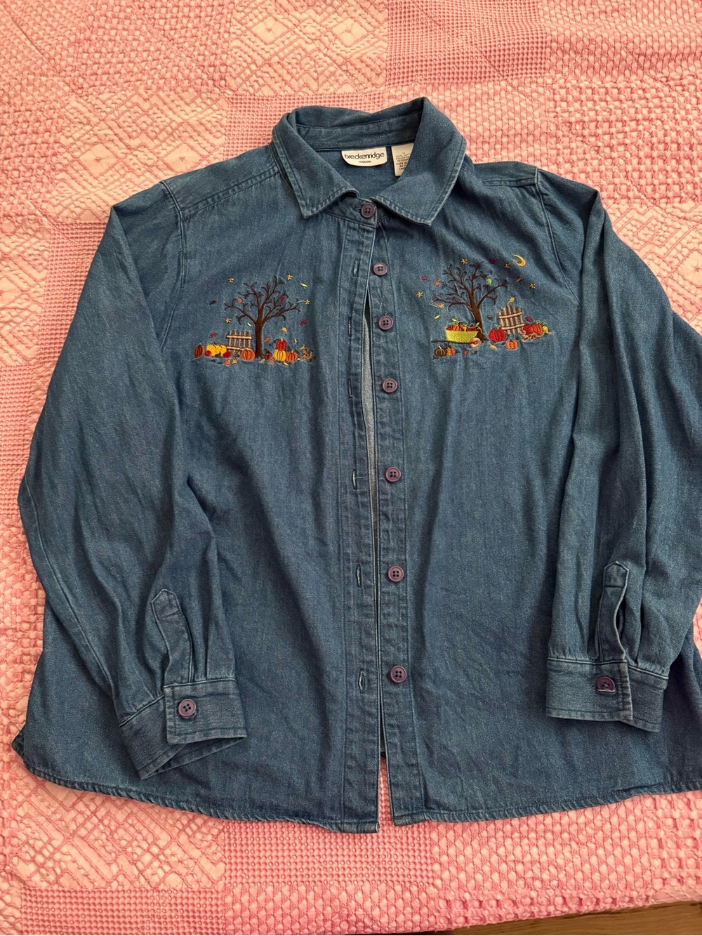 Breckenridge Embroidered Fall Button Up Denim Shirt - 1X